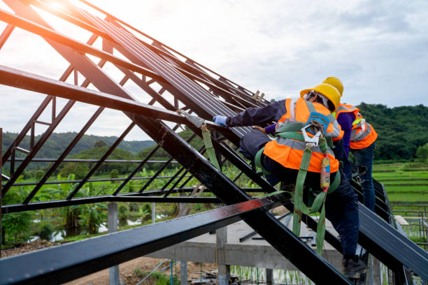 Best Roof Gutter Cleaning  in Bainbridge, OH